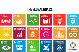 THE GLOBAL GOALS