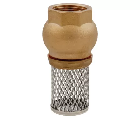 Foot valve